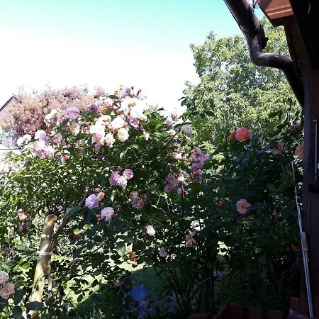 Ferienwohnung Gerstlauer Appartamento *